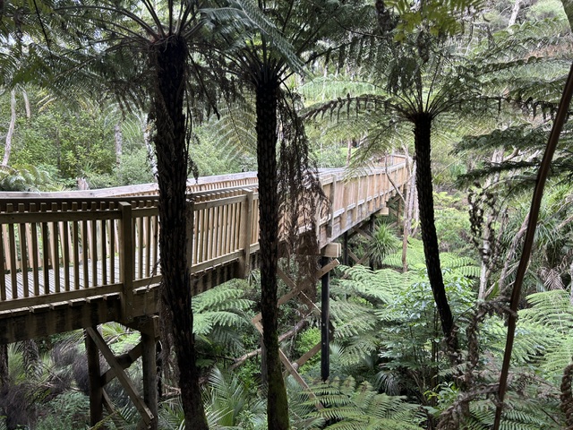 Birkenhead’s Bush Gem You Need to Walk